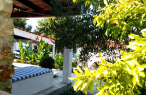  Meditteranean garden on the beach  Гребаштица